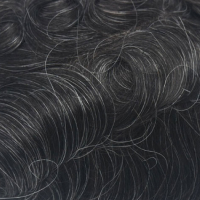 #11B 15% Canas