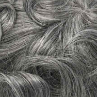 #1B 70% Canas