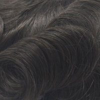 Darkest Ash Brown