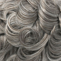 #6 60% Canas