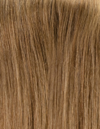 Light Chestnut Brown