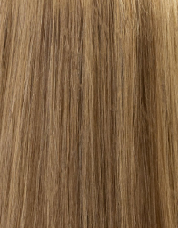 Honey Caramel (Golden Brown Rooted) - #8/#26 Hi Lite Rooted