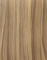 Blonde Butterscotch (Golden Blonde) - #10/#120/#613 Streaks